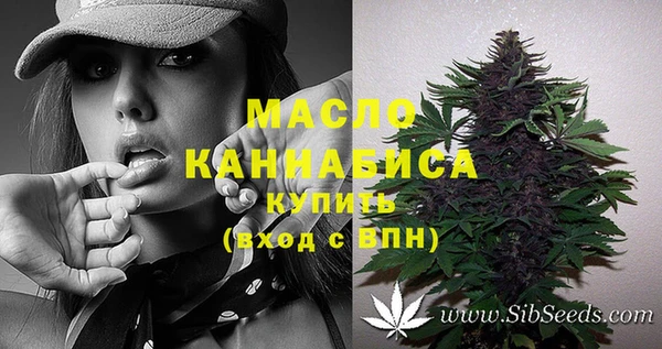 таблы Гусев