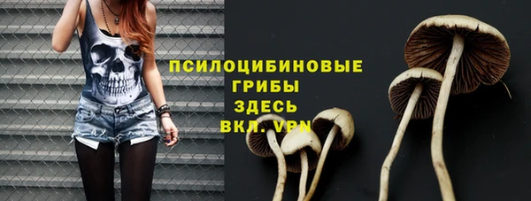 прущие грибы Дмитров