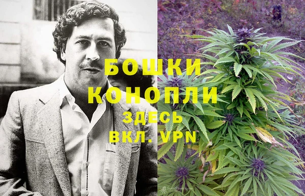 индика Гусиноозёрск