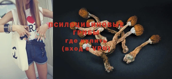 молекула духа Дмитровск