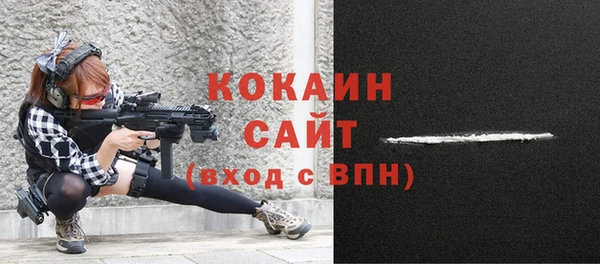 гидра Туринск