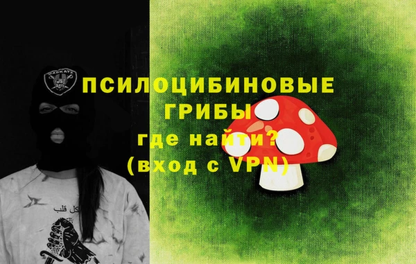 таблы Гусев