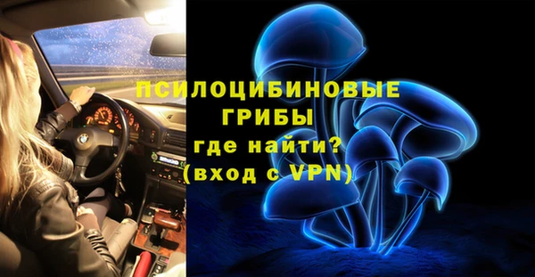 таблы Гусев