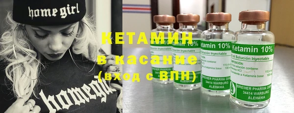 прущие грибы Дмитров