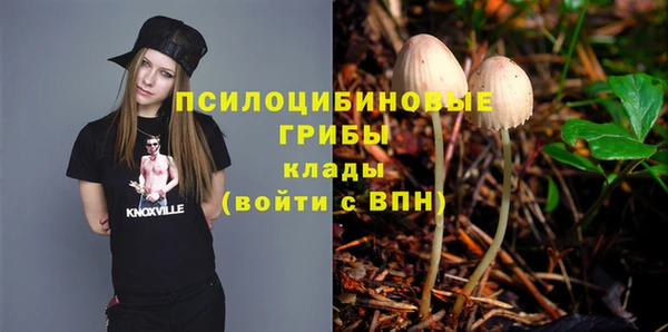 spice Дмитриев