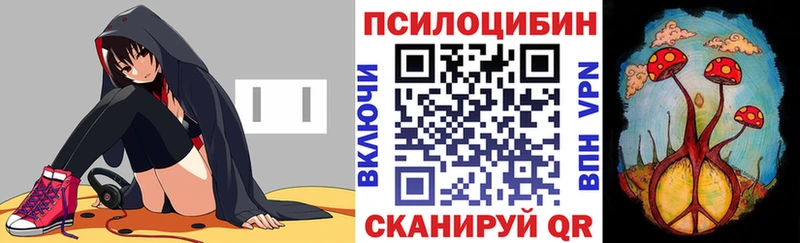 Псилоцибиновые грибы мухоморы  Купить  Новоалександровск 